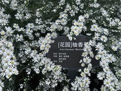 -国家植物园