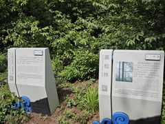 -沂蒙山旅游区云蒙景区(蒙山国家森林公园)