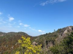 -玉苍山国家森林公园
