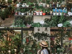 -溪岸路花鸟市场