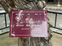 -平遥县衙