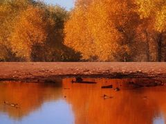 -镇北堡西部影城