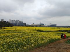 -三圣花乡旅游区