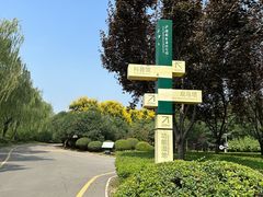 -西安浐灞国家湿地公园