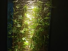 -鹤祥宫·影院足道·SPA连锁(沙井店)