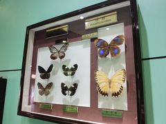 -上海昆虫博物馆