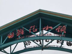 -南通鲜花小镇