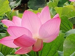 -火星时代教育(成都校区)