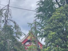 -浅草寺