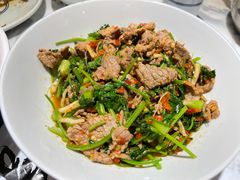 香菜炒牛肉-壹盏灯(蚂蚁工房店)