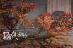 -DNA Wedding 婚礼记(上海店)