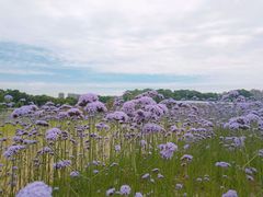 -杭州城北体育公园