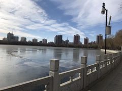 -莲花池公园