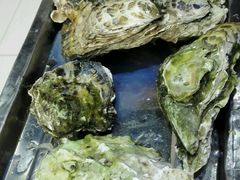 海蛎子-牛叔鲜羊肉铜火锅(远东小区店)