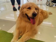 -凯德广场(武胜路店)