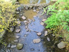 -白马涧龙池景区