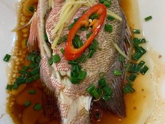 -波记美食店·现捞海鲜