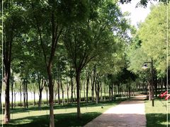 -香山公园