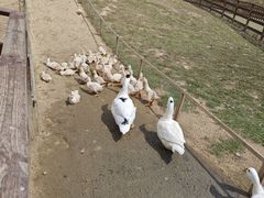 -盈香心动乐园