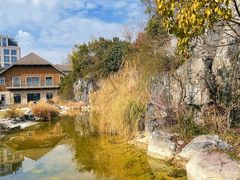 -上海吴淞炮台湾国家湿地公园