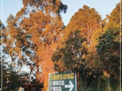 -云南野生动物园