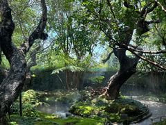 -Chom Cafe and Restaurant