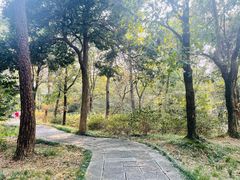 -杭州植物园