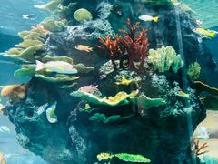 -福州罗源湾海洋世界旅游区