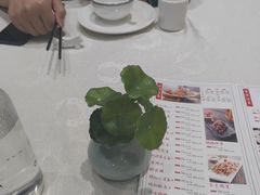 -神洲四海大酒楼(王府井澳门中心店)