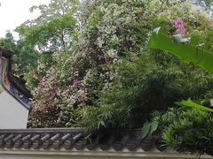 -深圳国际园林花卉博览园