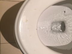 -苏州茉莉花酒店
