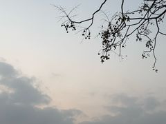 -白鹭湾湿地公园