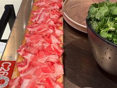 -辣伍鲜毛肚老火锅(元一店)