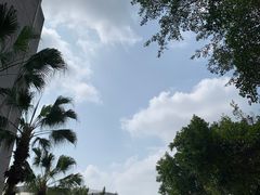 -四川大学(望江校区)