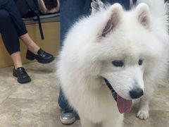 -美联众合动物医院·24h转诊中心