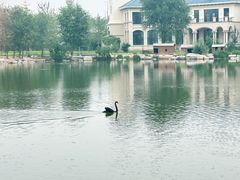 -龙熙温泉水世界