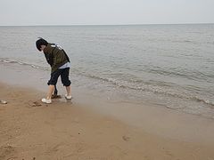-日照海滨国家森林公园
