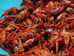 -红灯笼龙凤饭店(宁波老字号店)