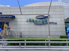 -上海海洋水族馆