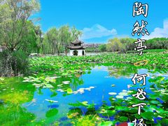 -陶然亭公园
