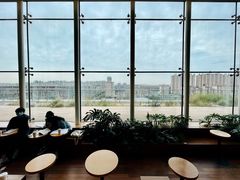 -Seesaw Coffee(朝阳大悦城店)