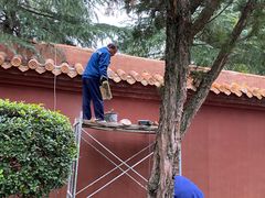 -南岳衡山风景名胜区-南岳大庙