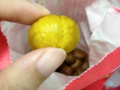 -阿男野栗王(金门路店)