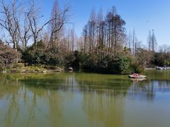-上海滨江森林公园