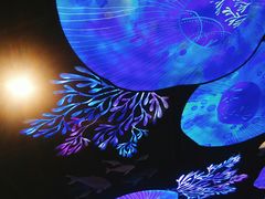 -百林公园-两江幸福广场