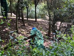 -黔灵山公园