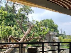 -宁波野生动物园