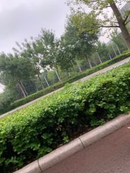 -HEYAN长风荷妍专业脱毛美肤
