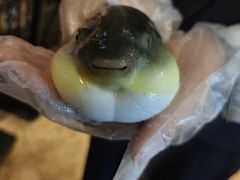 -肆月河豚·淮扬菜·湘菜(华天店)