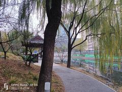 -南长河公园